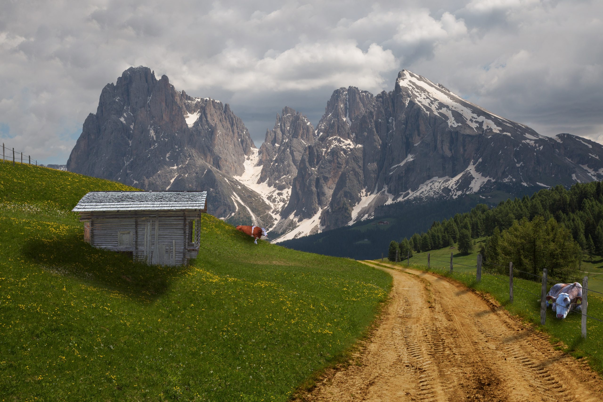 What Size of House Can You Build in Your Own Land without Permit in California